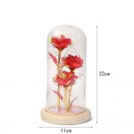 P14-032 LAMPARA DE ROSA ETERNA ENCAPSULADA CON LUZ #E