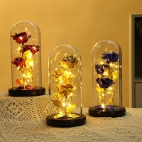 P14-030 LAMPARA DE ROSA ETERNA ENCAPSULADA CON LUZ #C