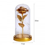 P14-029 LAMPARA DE ROSA ETERNA ENCAPSULADA CON LUZ #B