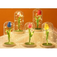 P14-031 LAMPARA DE ROSA ETERNA ENCAPSULADA CON LUZ #D