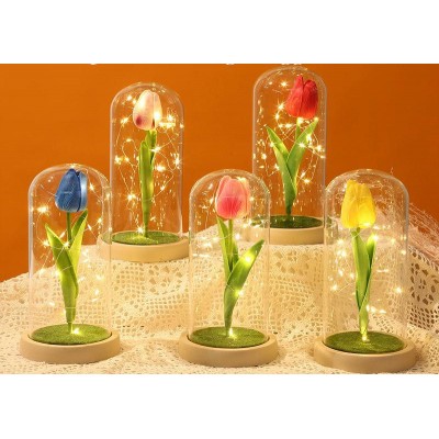 P14-031 LAMPARA DE ROSA ETERNA ENCAPSULADA CON LUZ #D