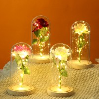 P14-028 LAMPARA DE ROSA ETERNA ENCAPSULADA CON LUZ #A