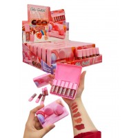 MA-4149-8 CAJA DE LIPGLOSS MATTE COLOR CASTIBE 