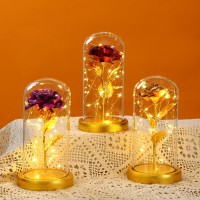 P14-029 LAMPARA DE ROSA ETERNA ENCAPSULADA CON LUZ #B