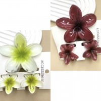 2AC-1010 GANCHETAS HAWAIANA DE COLORES SURTIDAS X 3 PCS 2AC-1010 GANCHETAS HAWAIANA DE COLORES SURTIDAS X 3 PCS