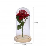 P14-028 LAMPARA DE ROSA ETERNA ENCAPSULADA CON LUZ #A